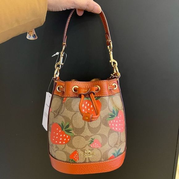 Coach Handbags - NWT COACH Mini Dempsey Bucket Bag Signature Canvas Wild Strawberry Print CH164